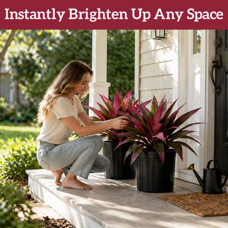 📢📢LAST DAY SALE 50% OFF🏡EverBloom Luxe Plant - Artificial Ti Plant🌿