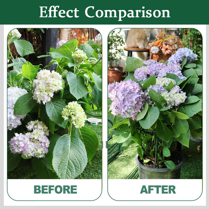 📢📢LAST DAY SALE 50% OFF🌷Plant Support
