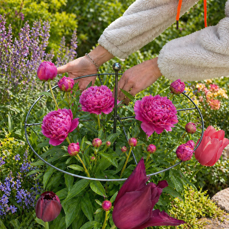 📢📢LAST DAY SALE 50% OFF🌷Plant Support