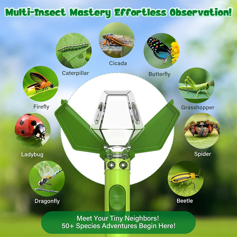 🐞6x Magnification Bug Catcher & Viewer for Kids
