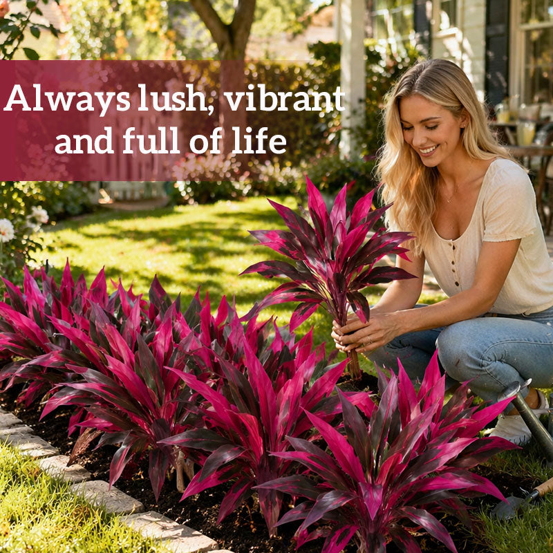 📢📢LAST DAY SALE 50% OFF🏡EverBloom Luxe Plant - Artificial Ti Plant🌿