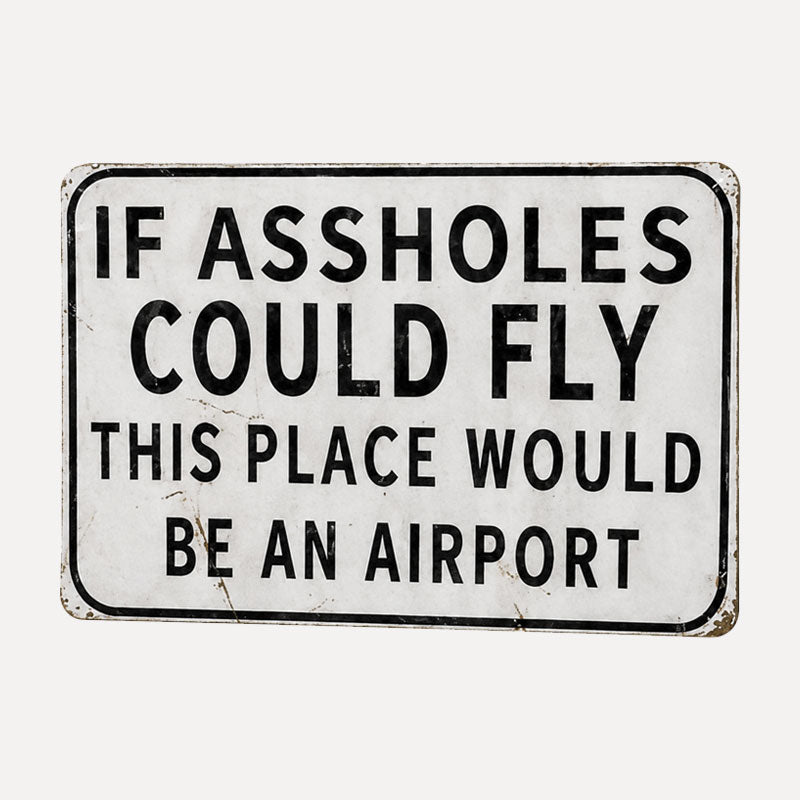😏✈️ "If Assholes Could Fly, This Place Would Be an Airport" Sign