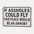😏✈️ "If Assholes Could Fly, This Place Would Be an Airport" Sign