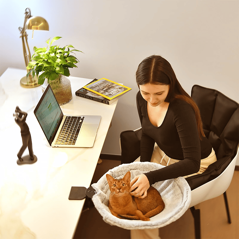 🐱Durable Ergonomic cat Desk Bed for Remote Workers